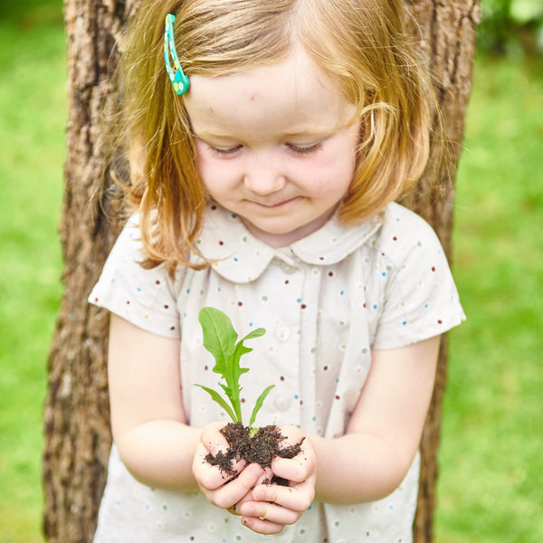 Help us plant 10 trees for every order, and safeguard our children's future.