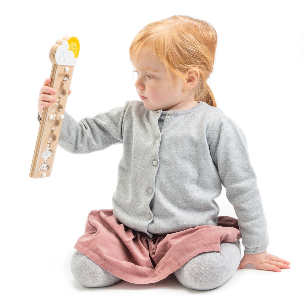 Tender Leaf Wooden toys rainmaker for toddlers