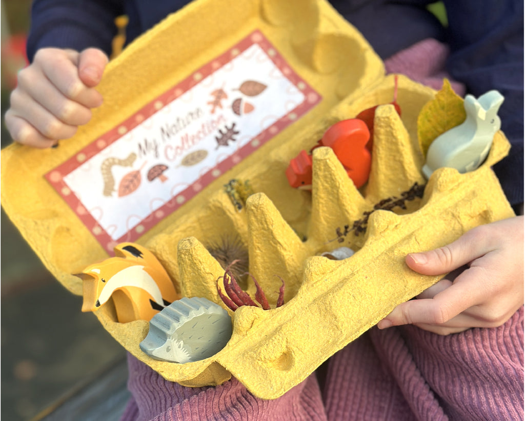 Turn an Egg Carton into a Nature Collection Box for Your Woodland Walk