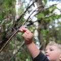 Bringing the Outside In: The Magic of Forest-Themed Wooden Toys