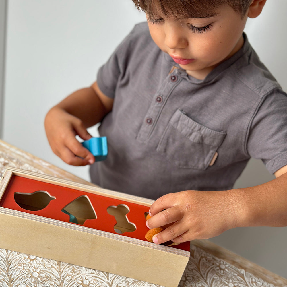 Shape Sort Box Gif Pet Shape Sorting Box | Mentari Toys | Wooden Shape Sorter Toy