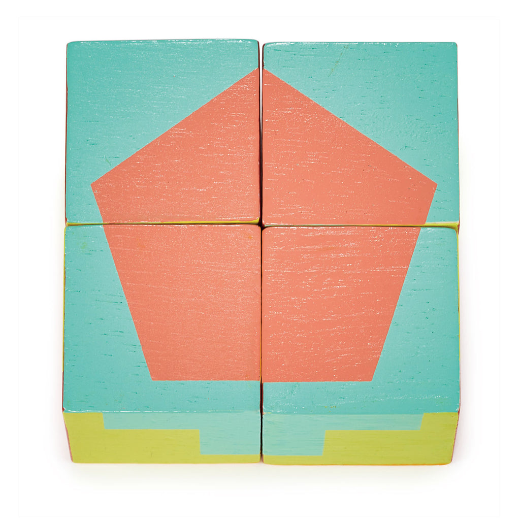 Colorblocked Toy Toy Colour Blocks