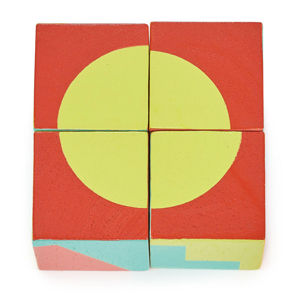 Colorblocked Toy Toy Colour Blocks