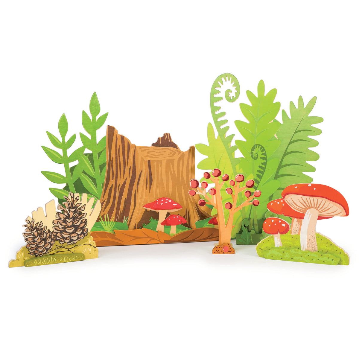 Merrell Forest Merrywood Forest Scene