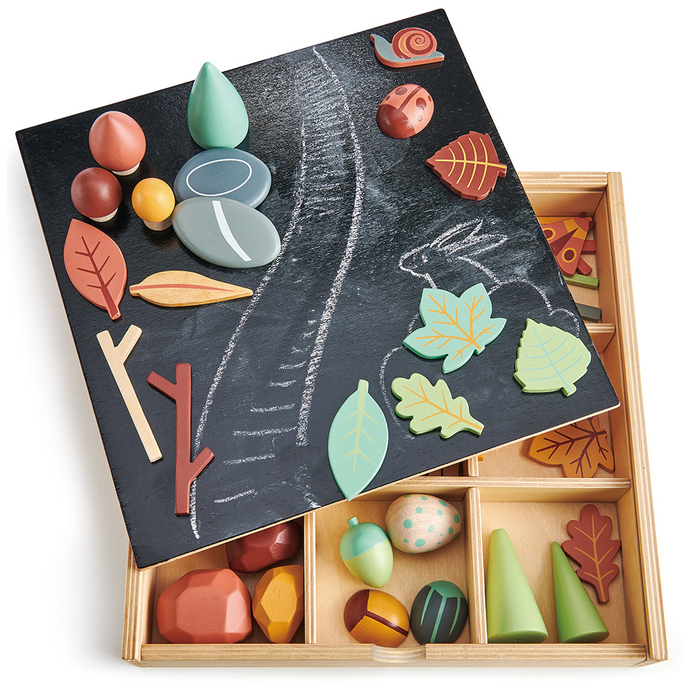 tender leaf wooden toy plastic free open ended play with items from the forest floor. comes with a box with compartments with lots of colourful and cool accessories including play pebbles, rainbow, stones, leaves, trees, bugs and insects for ultimate montessori play time. play with friends and pack away neatly in the nursery