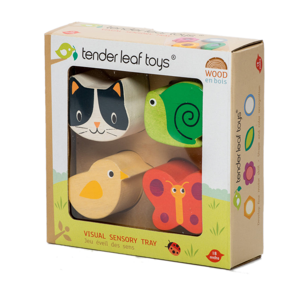 Tender Leaf wooden Visual Sensory Tray for toddlers in multi colours