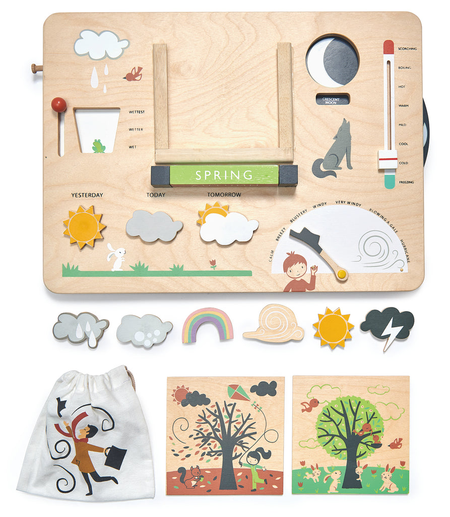 Tender Leaf Wooden toys educational weather game 