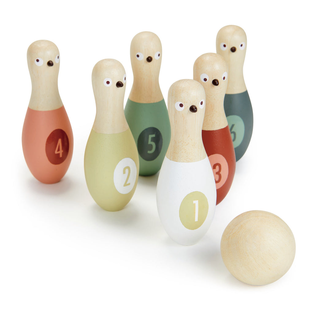 wooden toy bird themed skittles for children